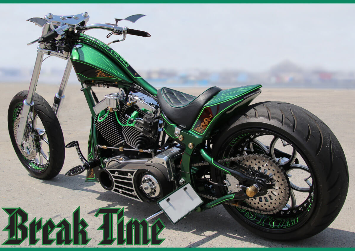 ハーレー Robison 80's ビンテージ ハーレーダビッドソン Tシャツ