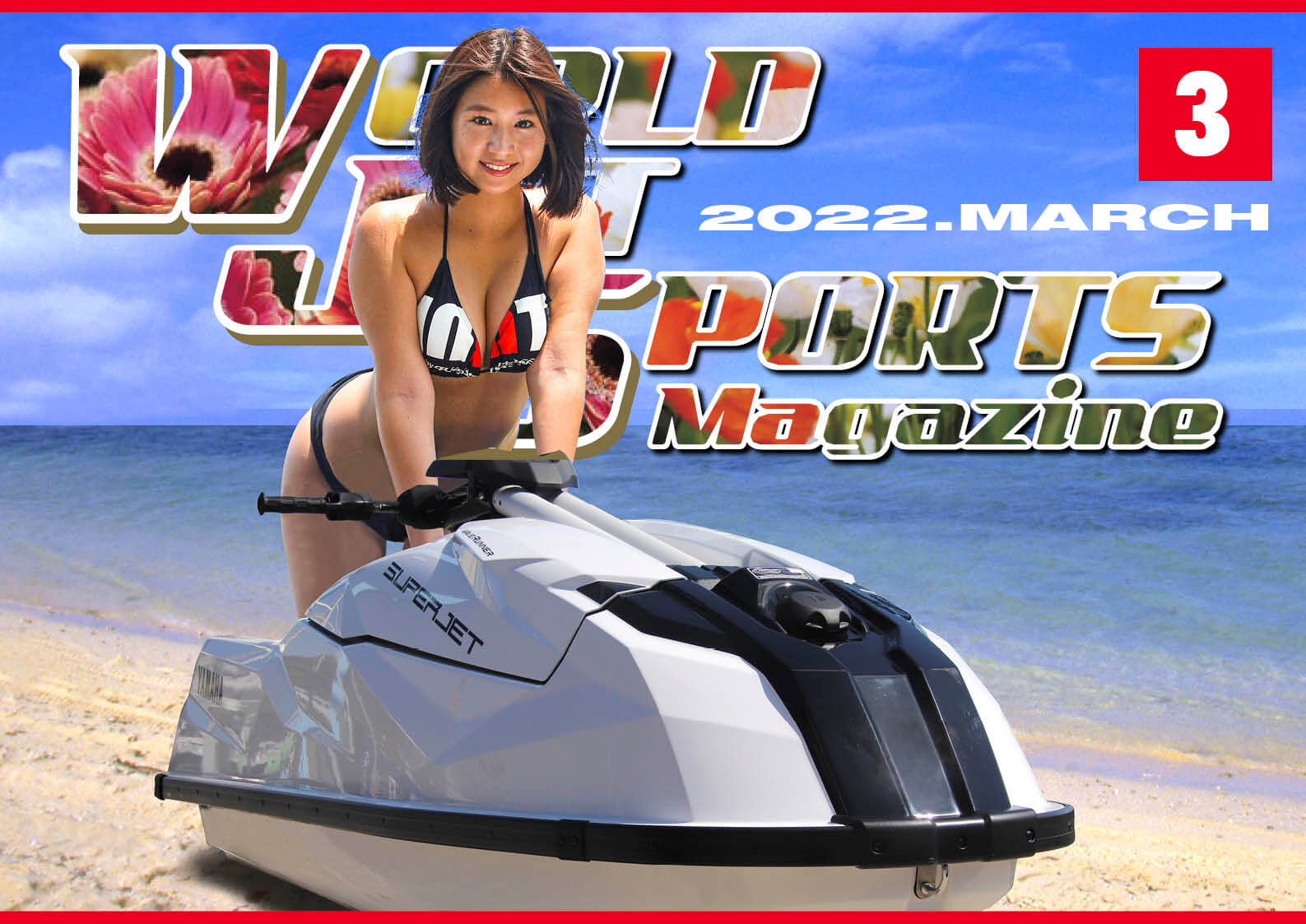 ワールドジェットスポーツマガジン2013年 全12巻