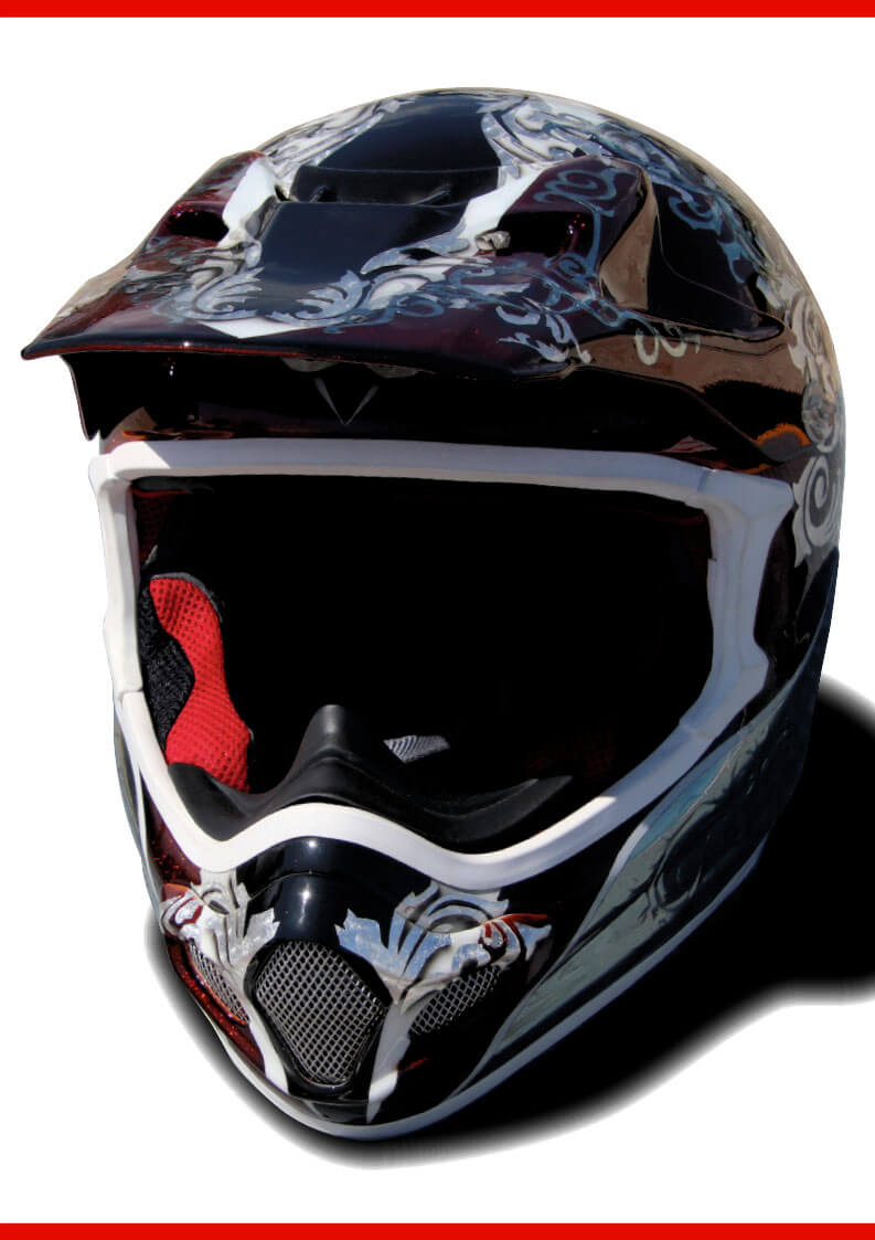 エヴィス　バイクヘルメット　カモメペイント エヴィス バイクヘルメット カモメペイント エヴィス バイクヘルメット